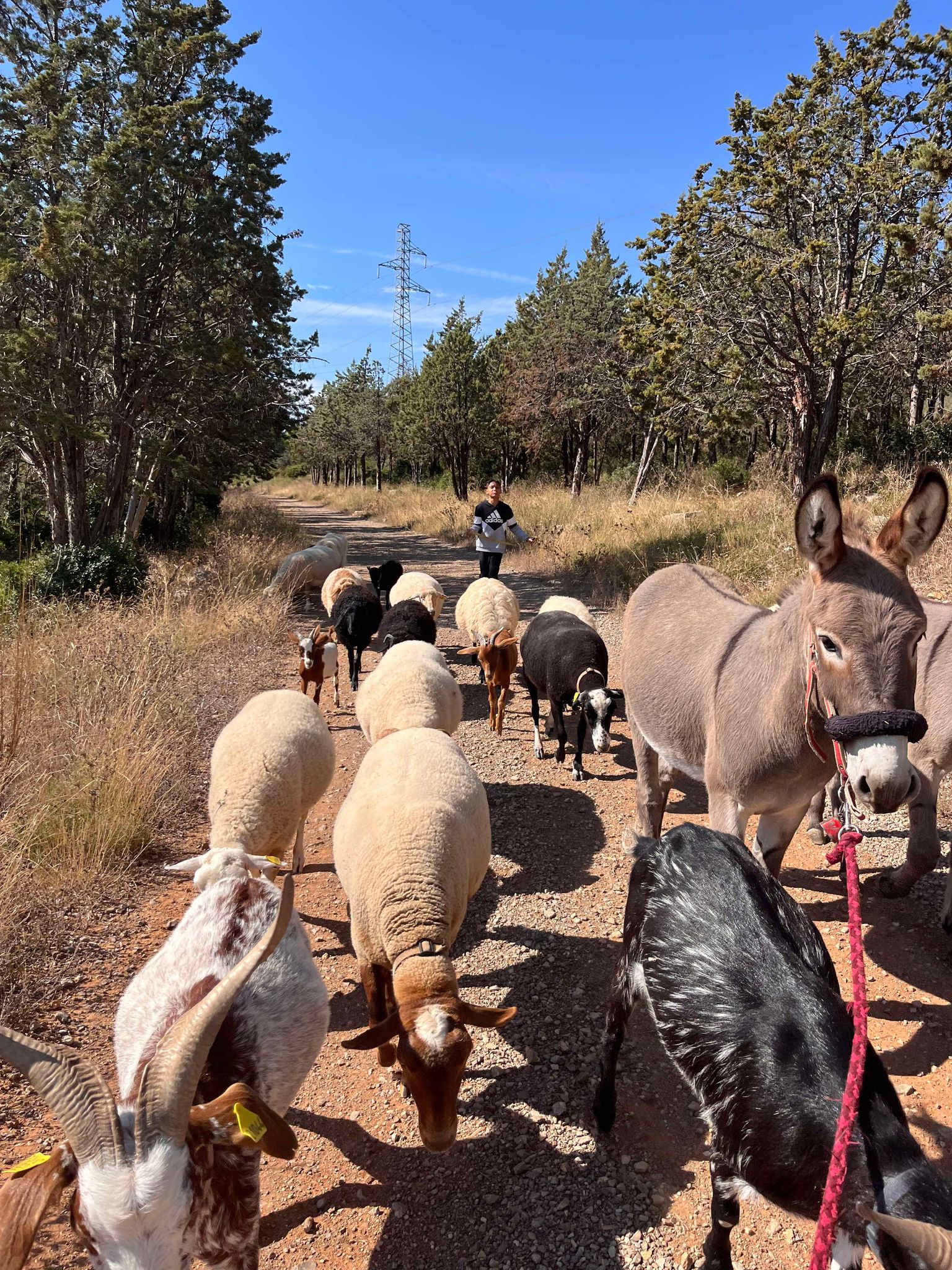 458512604_1468529350486756_56557855322180603_n