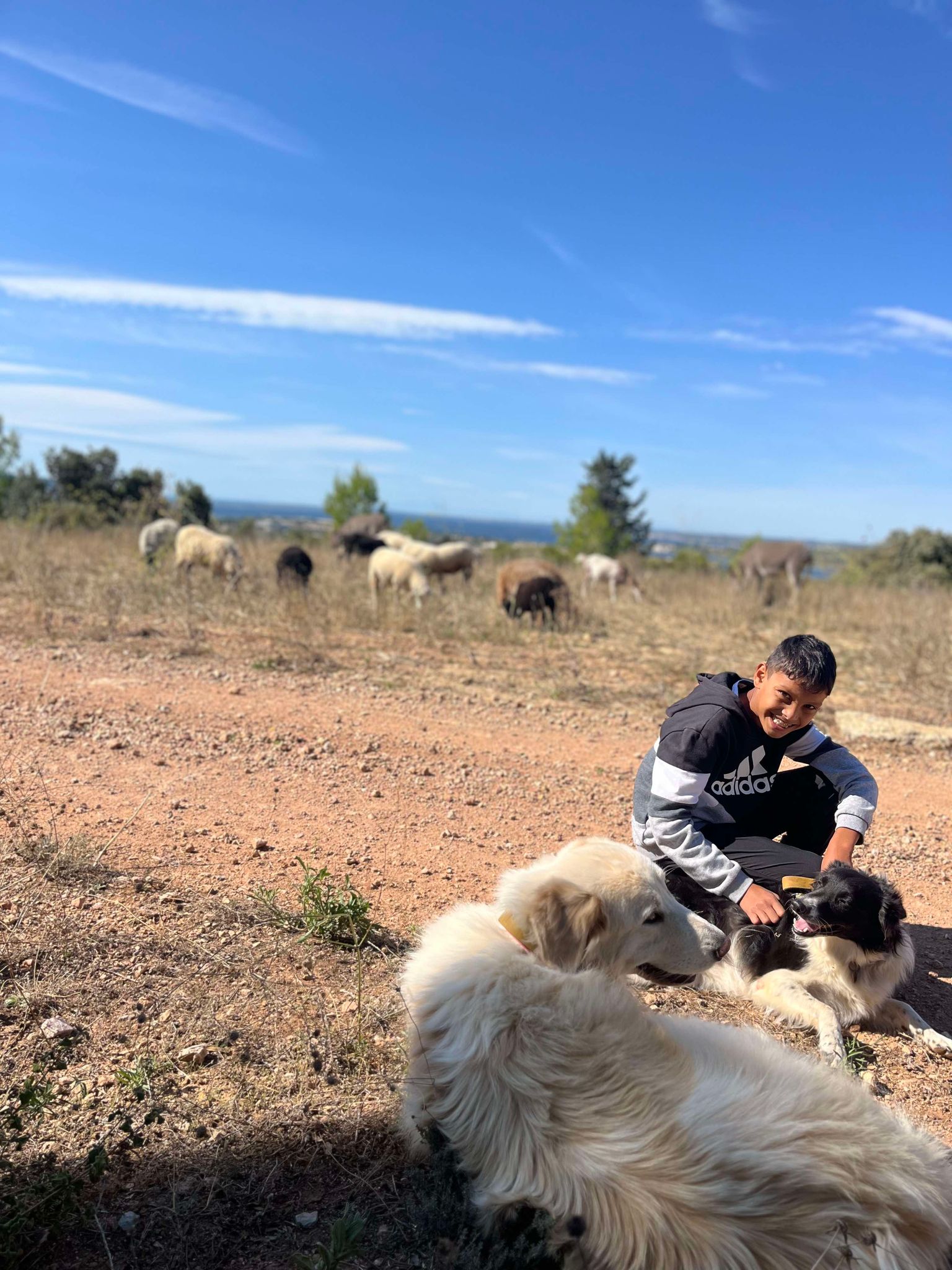 458971166_3700711363576924_6745614776203868990_n