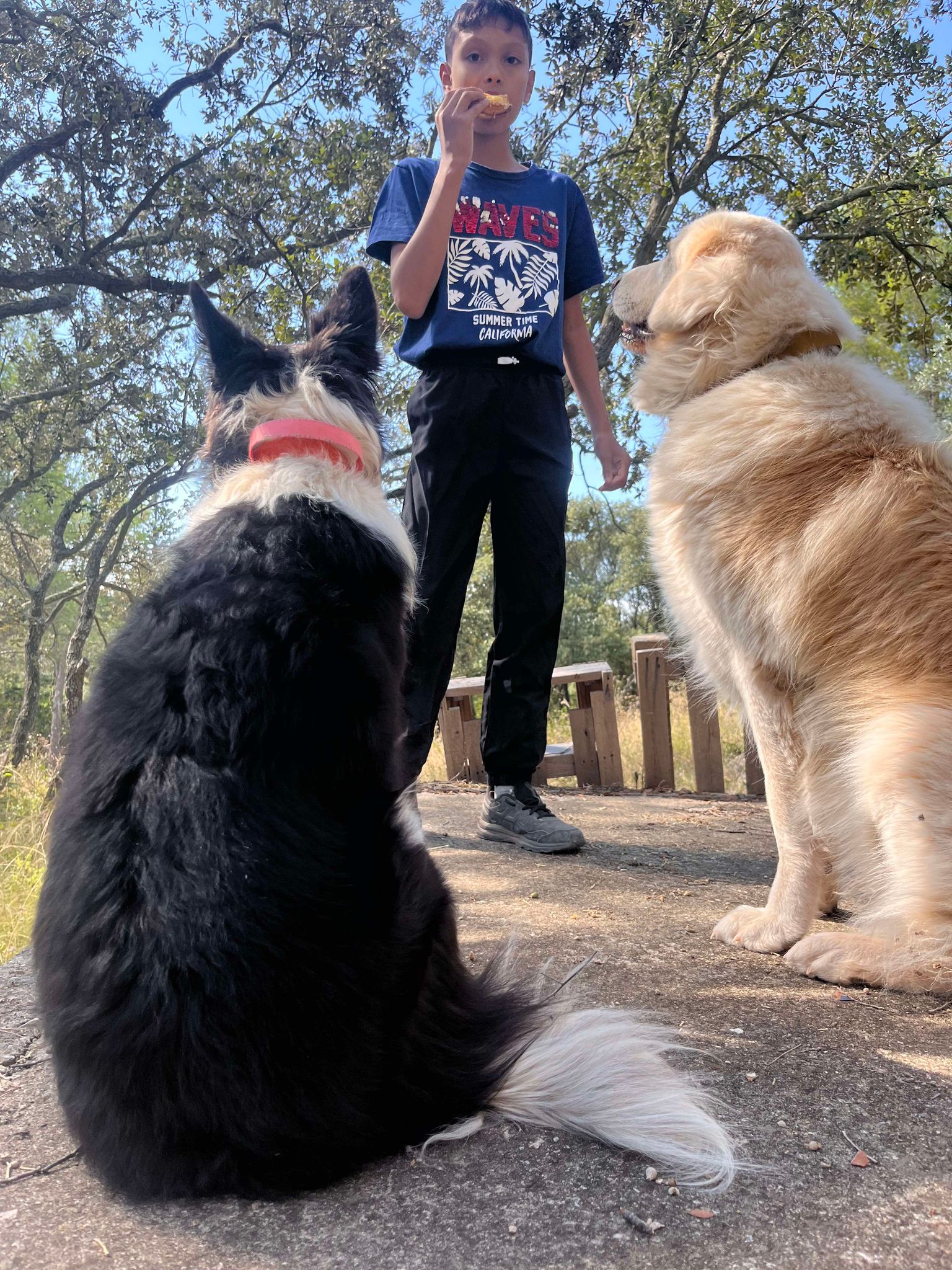 458976918_1724194691730001_9080452282491002041_n