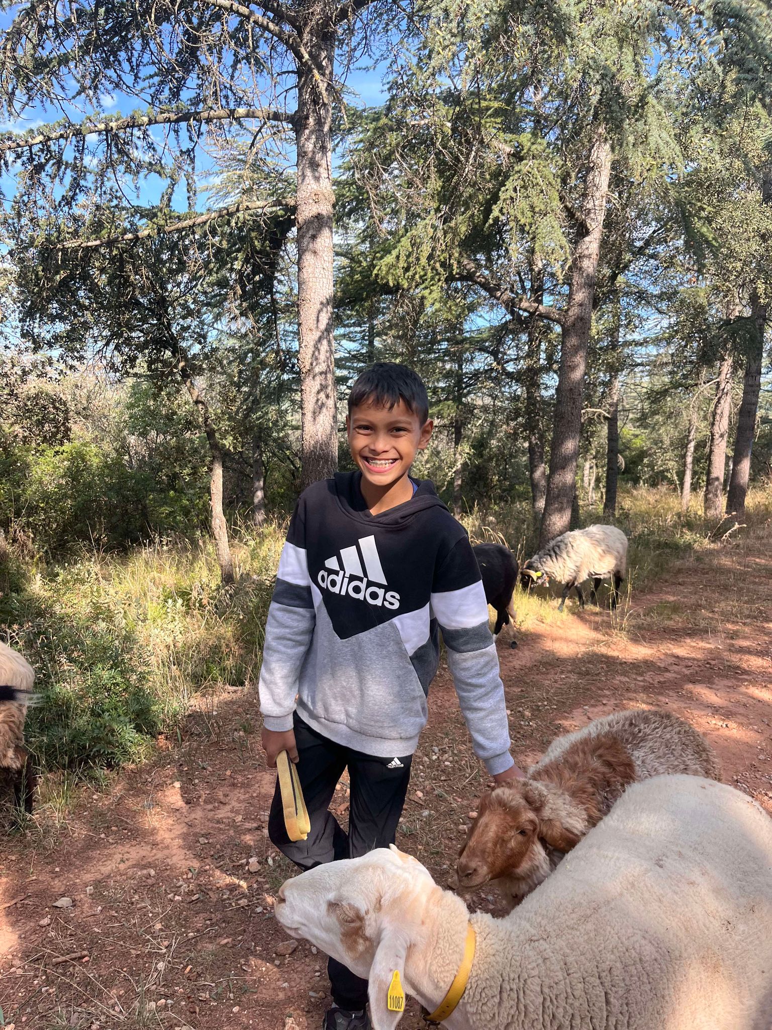 459495154_3803015616693839_4154006914827851466_n