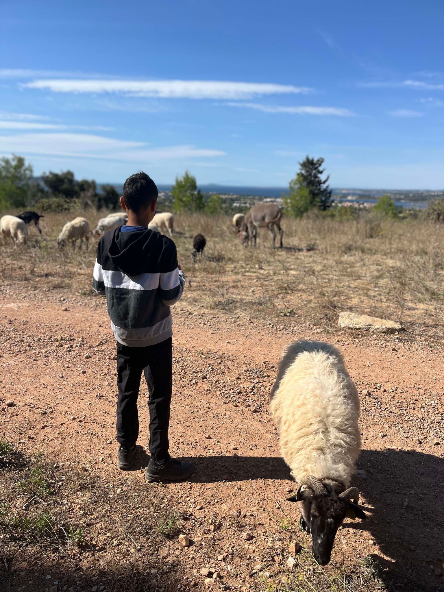 459520547_1088666942931721_7848919879075550718_n