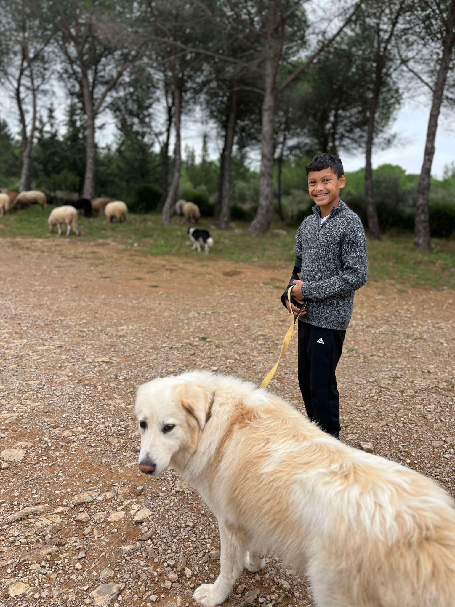 461312699_509820911967859_3211982213908106595_n