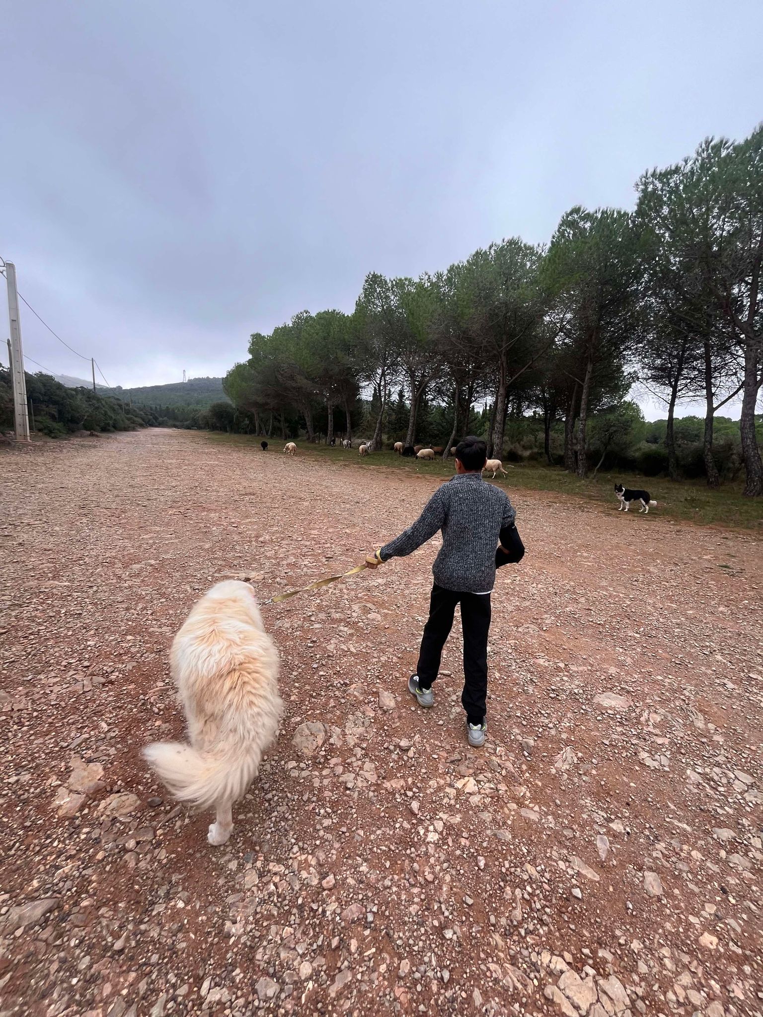 462534259_916597817185224_3345566228159103737_n