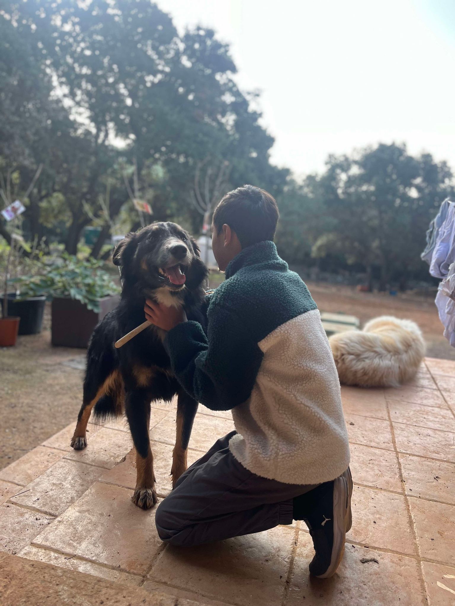 462537551_549354661382779_1416972576128865621_n